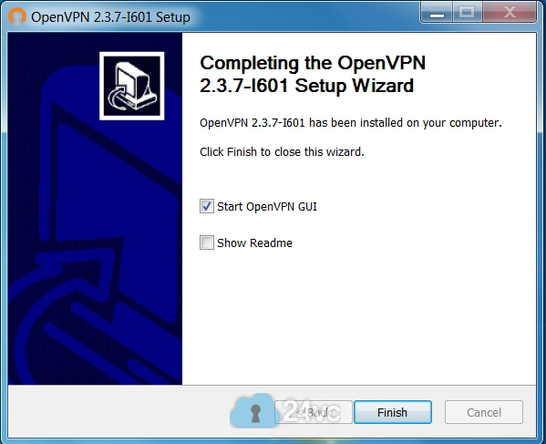 Now check Start OpenVPN Gui and click Finish.